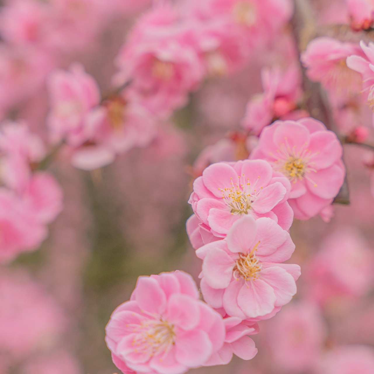 極上のひととき。
離れてくつろぐ、
日常から